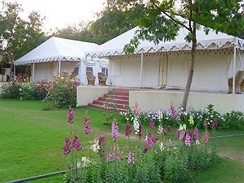 Jungle View Resort Sawai Madhopur Zewnętrze zdjęcie