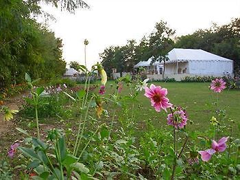 Jungle View Resort Sawai Madhopur Zewnętrze zdjęcie