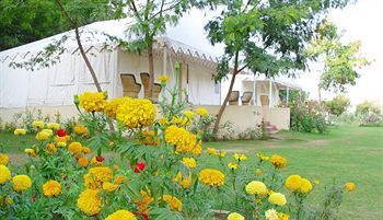 Jungle View Resort Sawai Madhopur Zewnętrze zdjęcie