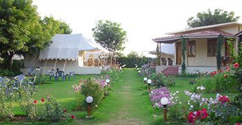 Jungle View Resort Sawai Madhopur Zewnętrze zdjęcie